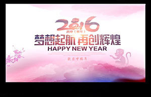 2016年年会，，，，，，，，妄想起航-再创鲜丽